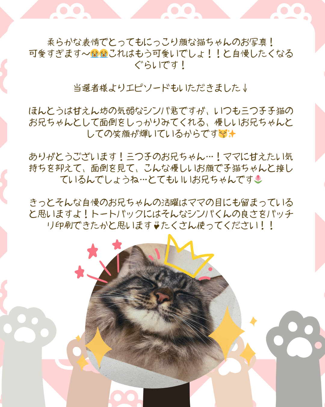 王冠をつけたシンバくんのアップ写真