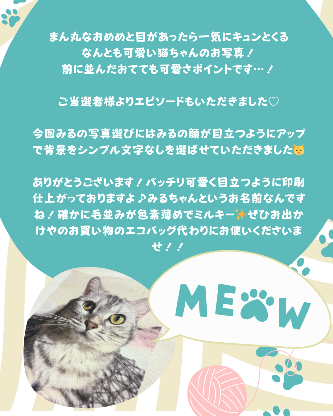 愛猫みるちゃんのアップ写真 オリジナルトートバッグ フルカラー制作事例