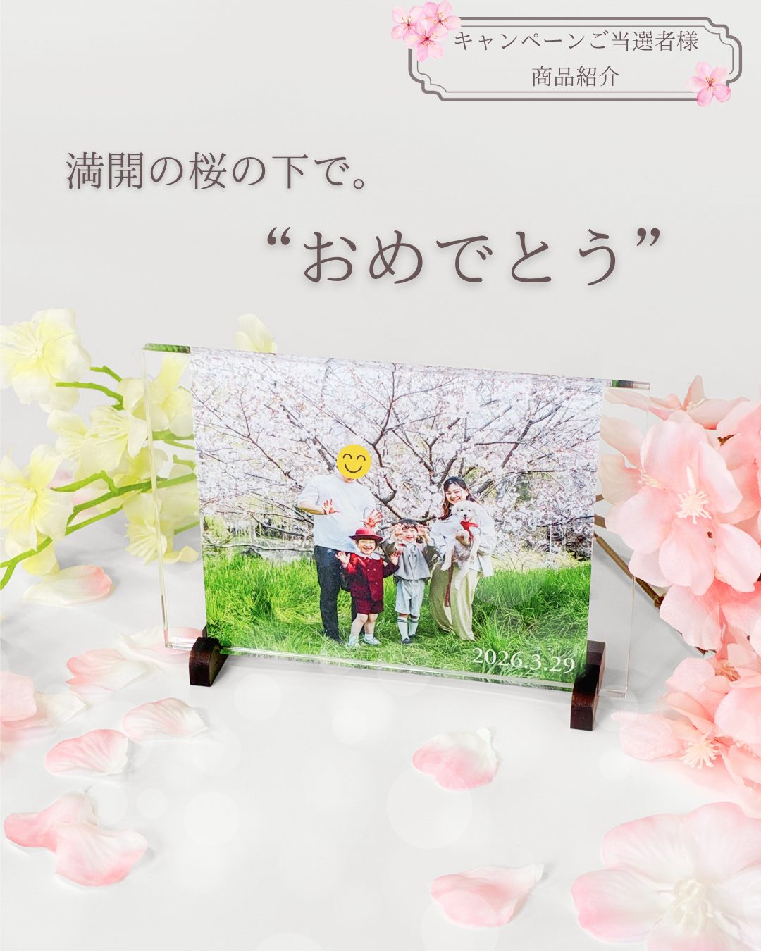 満開の桜の下で撮影した家族写真のオリジナルアクリルフォトパネル L判 台座付き